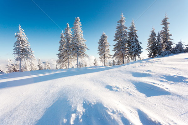 Invierno fantástico paisaje cielo azul Ucrania Europa Foto stock © Leonidtit