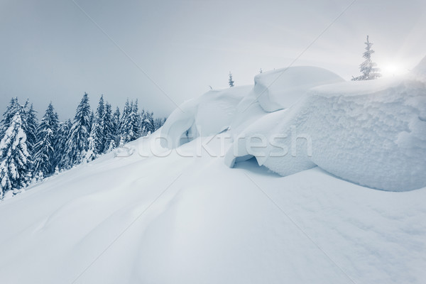 Tél fantasztikus tájkép park Ukrajna Európa Stock fotó © Leonidtit