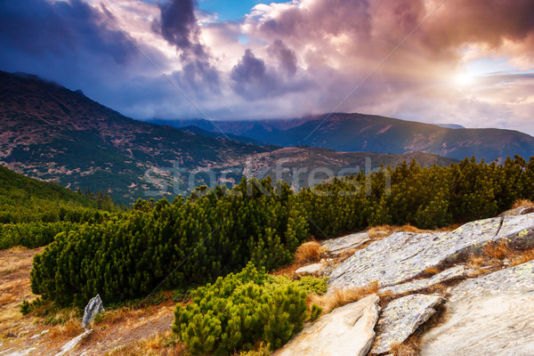 Montana paisaje fantástico colorido cielo Ucrania Foto stock © Leonidtit