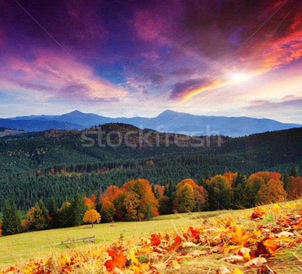 Herbst Morgen Berg Landschaft farbenreich Stock foto © Leonidtit
