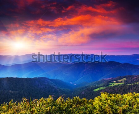 Puesta de sol montanas paisaje cielo árbol Foto stock © Leonidtit
