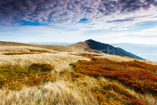 Berge Landschaft schönen Berg Frühling Stock foto © Leonidtit