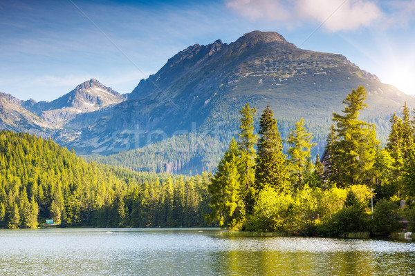 lake in the mountains Stock photo © Leonidtit