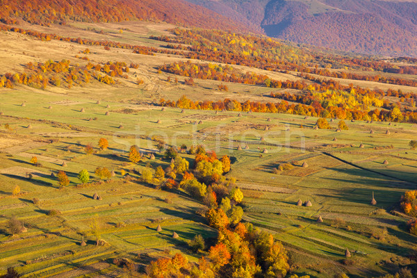 Sonbahar sabah dağ manzara renkli Stok fotoğraf © Leonidtit