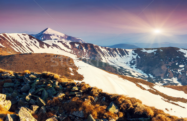 Berg Sonnenuntergang Berge Landschaft Holz Stock foto © Leonidtit