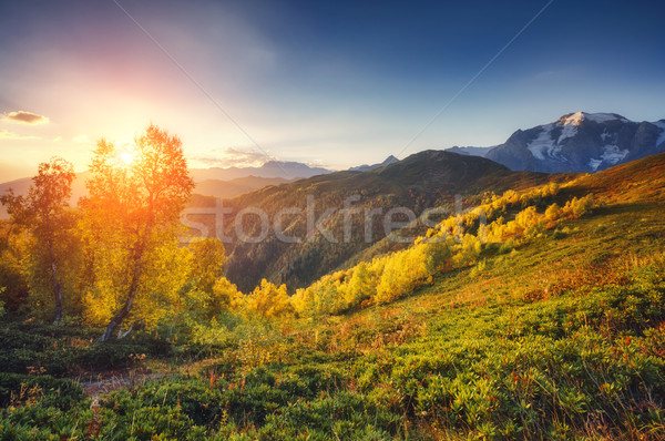 beautiful autumn landscape Stock photo © Leonidtit