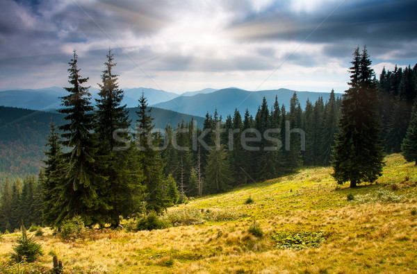 Otono montana paisaje colorido forestales cielo Foto stock © Leonidtit