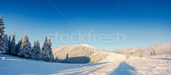 Inverno fantastico panorama cielo blu panoramica Ucraina Foto d'archivio © Leonidtit