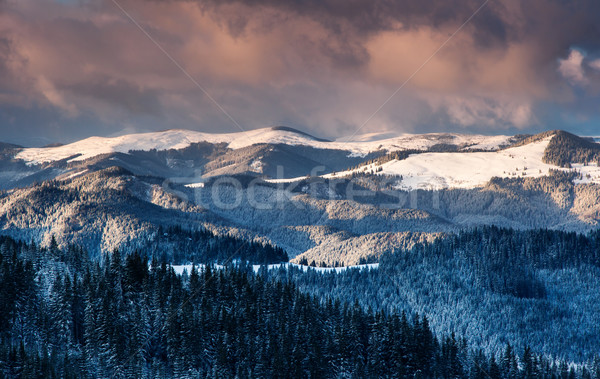 winter Stock photo © Leonidtit