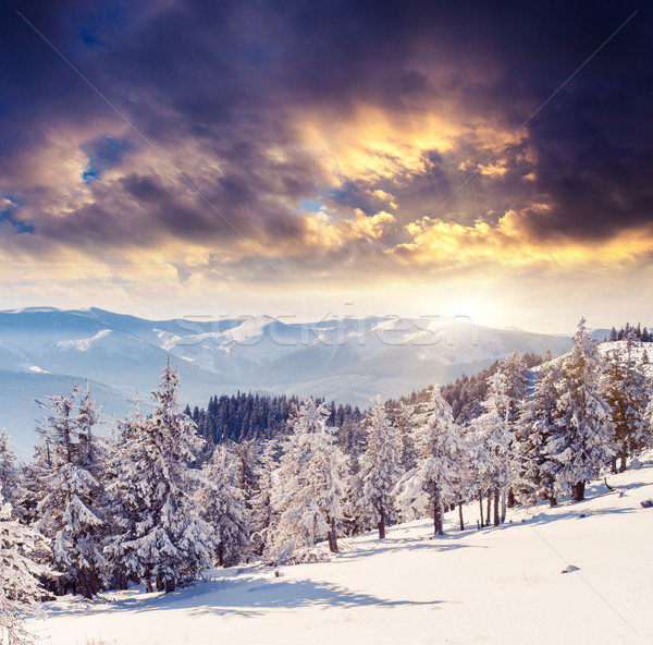 Winter fantastisch Morgen Berg Landschaft farbenreich Stock foto © Leonidtit