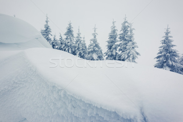 Inverno fantastico panorama parco Ucraina Europa Foto d'archivio © Leonidtit