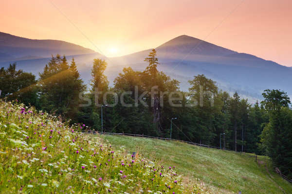 Berg Sonnenuntergang Berge Himmel Sonne Stock foto © Leonidtit