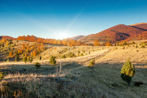 Sonbahar sabah dağ manzara renkli Stok fotoğraf © Leonidtit
