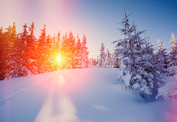 Iarnă peisaj lumina soarelui dimineaţă Imagine de stoc © Leonidtit