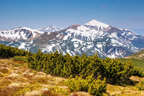 Montanas paisaje hermosa montana nieve Foto stock © Leonidtit
