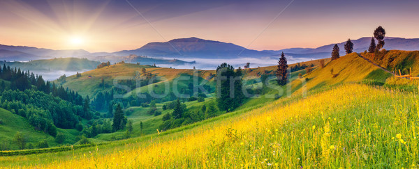 Bergen landschap majestueus zonsondergang Oekraïne Europa Stockfoto © Leonidtit