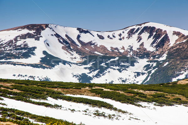 Dağlar manzara güzel dağ kar Stok fotoğraf © Leonidtit