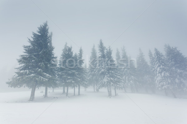 Foto stock: Inverno · belo · paisagem · neve · coberto · árvores