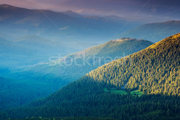 Dağ manzara güzel görmek kırsal alpine Stok fotoğraf © Leonidtit