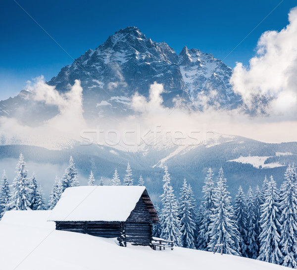 Dağ manzara fantastik kış mavi gökyüzü yaratıcı Stok fotoğraf © Leonidtit