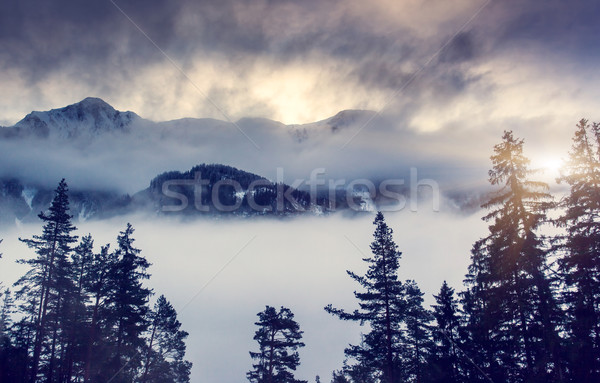 Berg Landschaft fantastisch Winter blauer Himmel Österreich Stock foto © Leonidtit