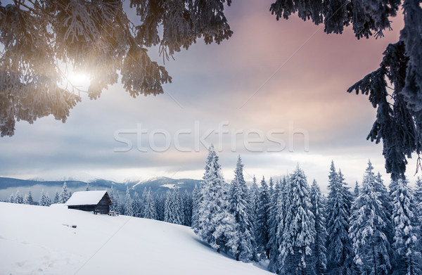 Kış fantastik manzara dramatik gökyüzü park Stok fotoğraf © Leonidtit