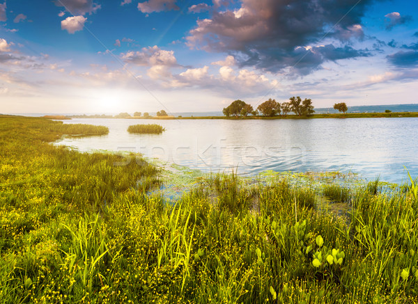 Râu frumos vedere vară Ucraina Imagine de stoc © Leonidtit