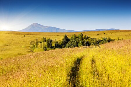 magic mountain landscape Stock photo © Leonidtit