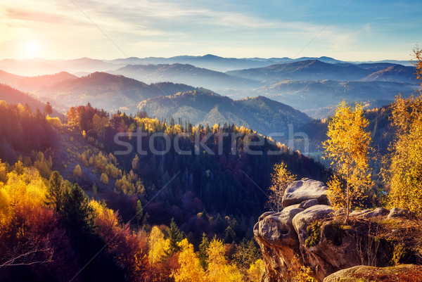 Farbenreich Wald Bäume sonnig Berg Stock foto © Leonidtit