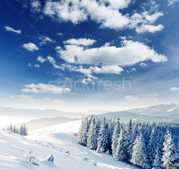 Tél gyönyörű tájkép hó fedett fák Stock fotó © Leonidtit