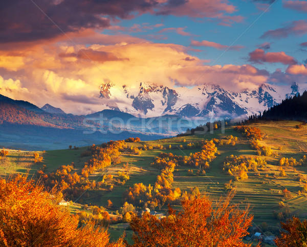 Najaar majestueus ochtend berg landschap kleurrijk Stockfoto © Leonidtit