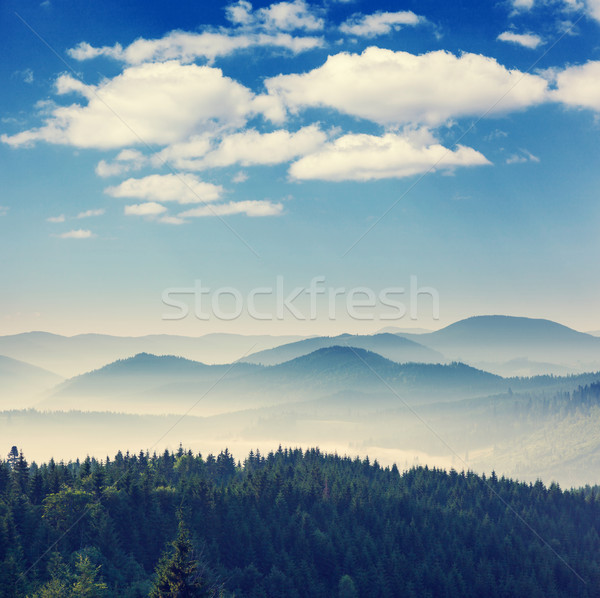 Vară frumos munte peisaj Ucraina Imagine de stoc © Leonidtit