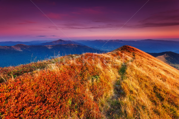 wonderful sunset in mountain Stock photo © Leonidtit