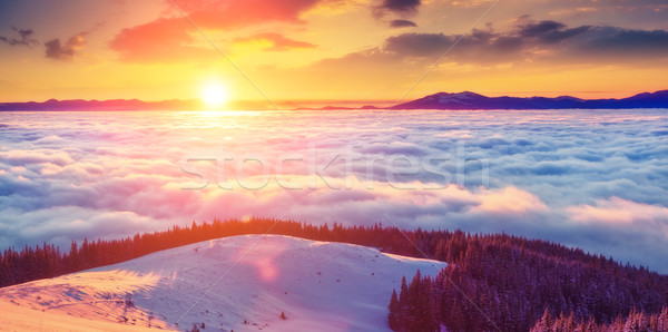 Foto stock: Hermosa · invernal · paisaje · brumoso