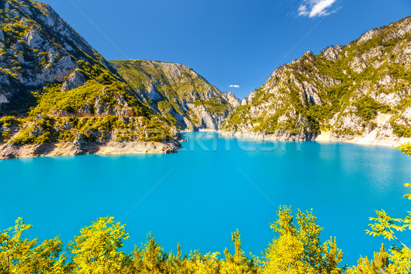 Fluss Montenegro berühmt Canyon fantastisch Reservoir Stock foto © Leonidtit