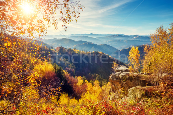 Majestic colorful forest Stock photo © Leonidtit