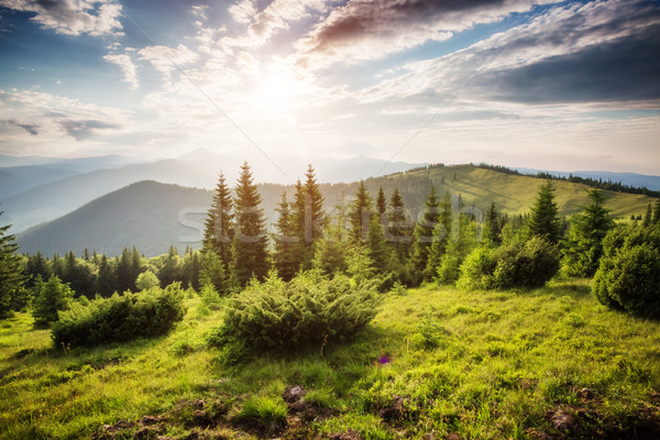 Schönen Sommer Landschaft fantastisch Tag Stelle Stock foto © Leonidtit