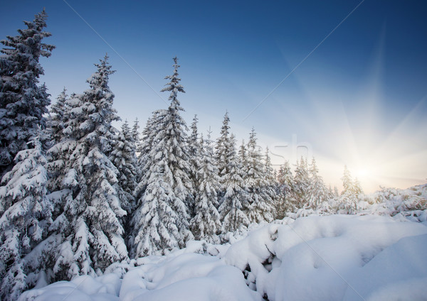 Tél fenséges naplemente hegyek tájkép hdr Stock fotó © Leonidtit