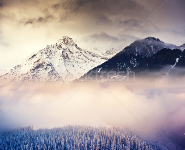 Stock foto: Winter · fantastisch · Landschaft · farbenreich · Himmel · kreative