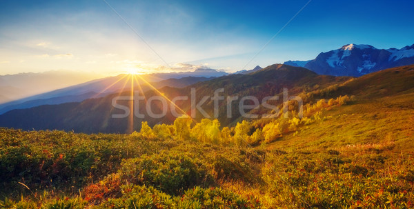 Schönen Herbst Landschaft fantastisch Ansicht Stock foto © Leonidtit