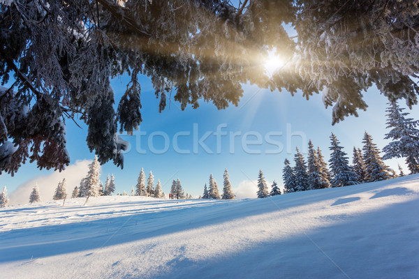 Inverno gelato cielo sole panorama Foto d'archivio © Leonidtit