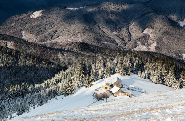 冬 美しい 風景 雪 カバー 木 ストックフォト © Leonidtit