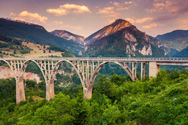 Canyon alten groß Brücke fantastisch Ansicht Stock foto © Leonidtit