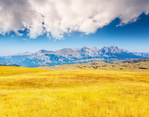 sunny mountain landscape Stock photo © Leonidtit