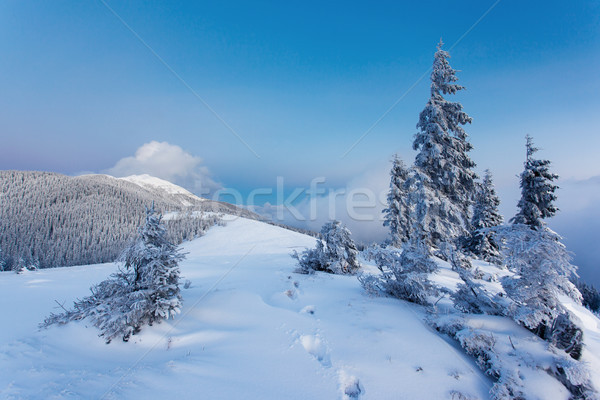 Inverno gelato cielo sole panorama Foto d'archivio © Leonidtit