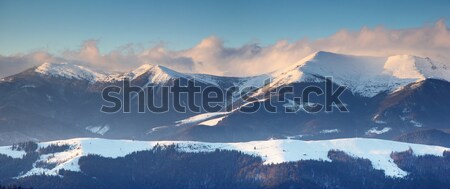 Winter frostig Himmel Sonne Landschaft Stock foto © Leonidtit