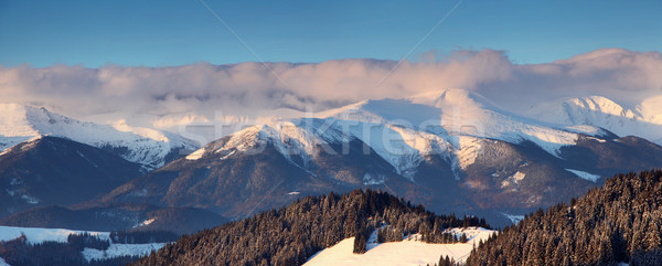 Winter majestueus zonsondergang bergen landschap hdr Stockfoto © Leonidtit