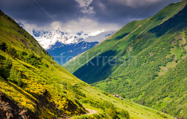 Berg landschap mooie alpine Stockfoto © Leonidtit