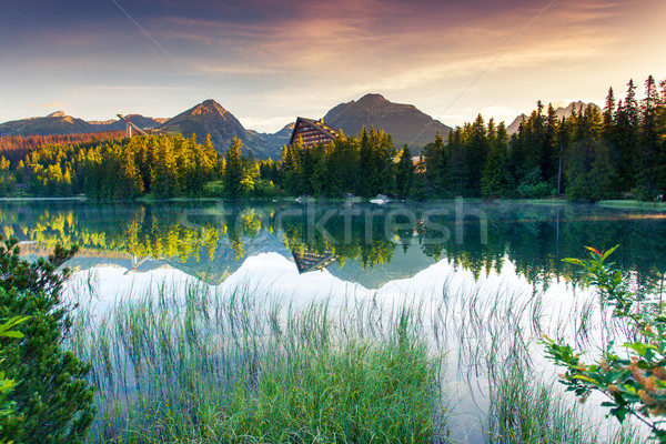 lake Stock photo © Leonidtit