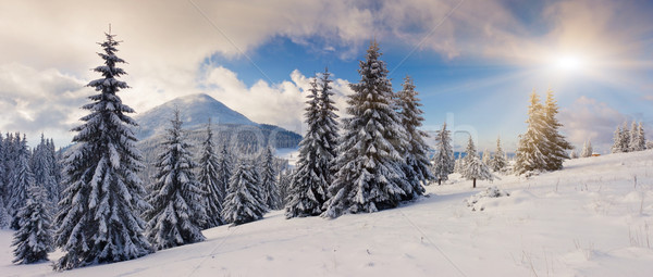 Kış gün batımı dağlar gökyüzü ağaç Stok fotoğraf © Leonidtit